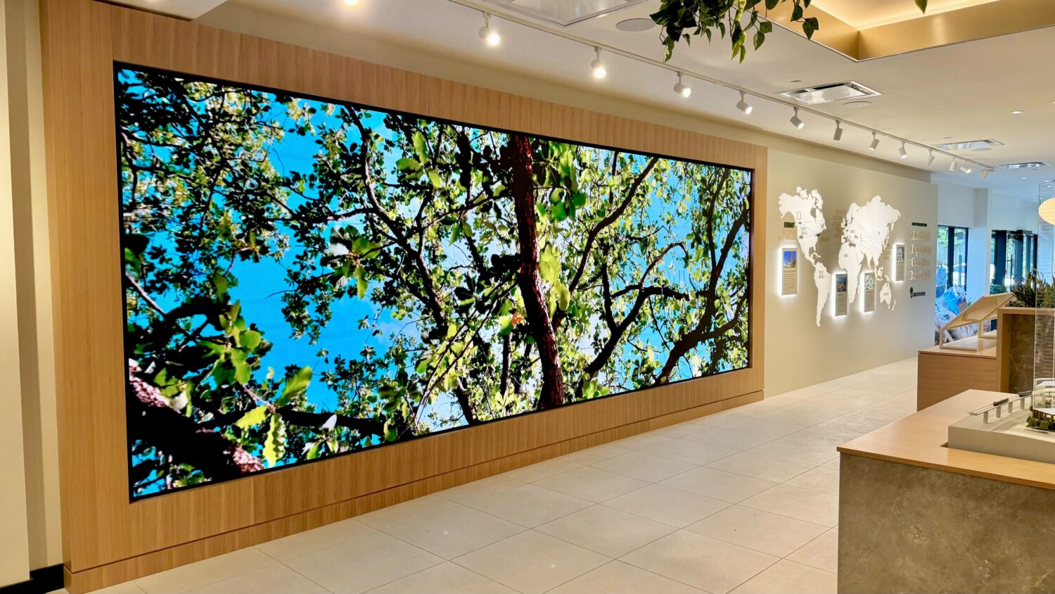 220-inch Planar Direct Light Pro Series video wall displaying a forest canopy at Grosvenor Americas' Brentwood presentation centre